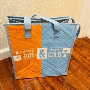 Insulated Hot and Cold Tote Bag